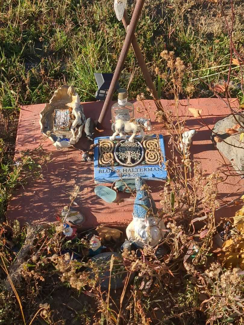 Karen Tina Halterman's grave. Photo 1