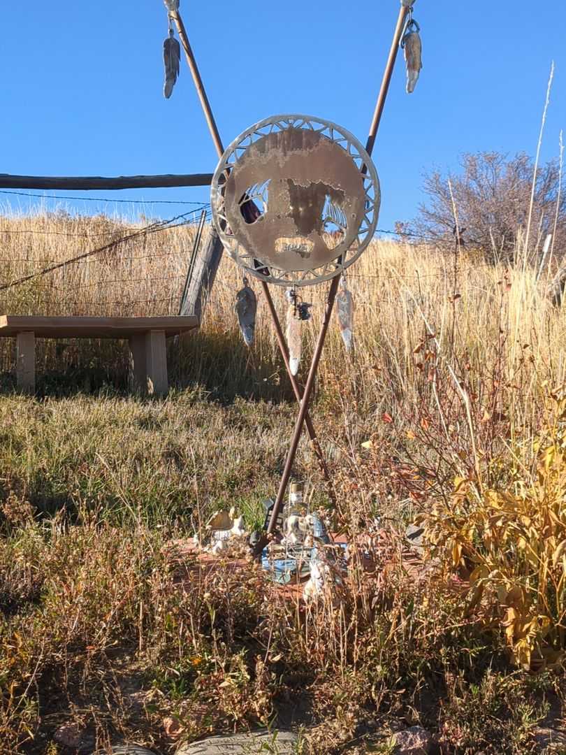 Blue E. Halterman's grave. Photo 3