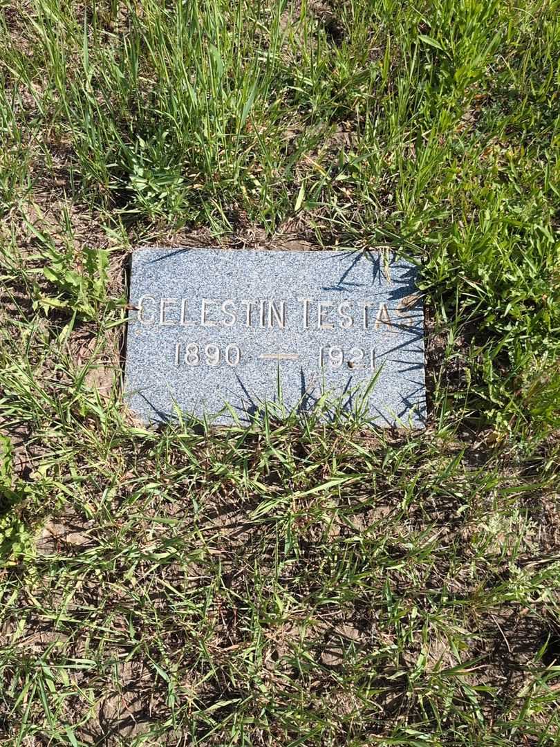 Celestin Testas's grave. Photo 1