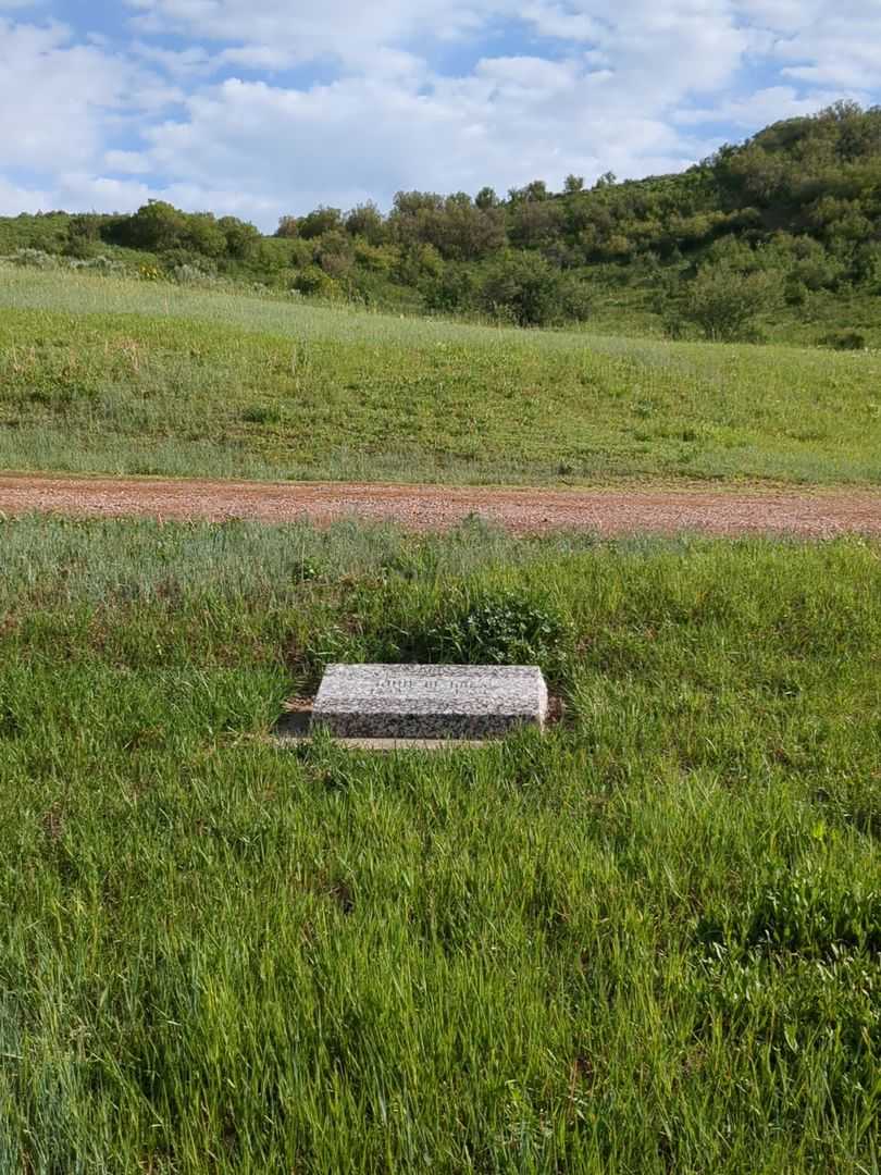 John W. Imes's grave. Photo 1
