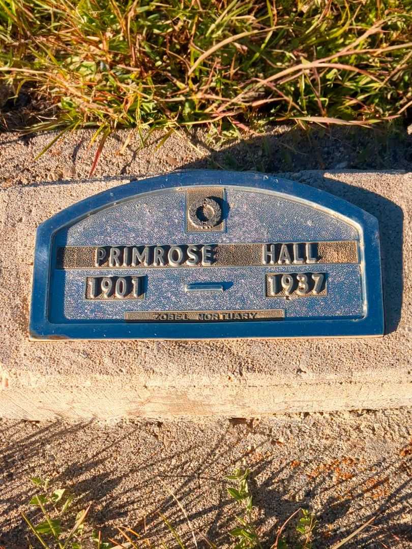 Primrose "Mathews" Hall's grave. Photo 1