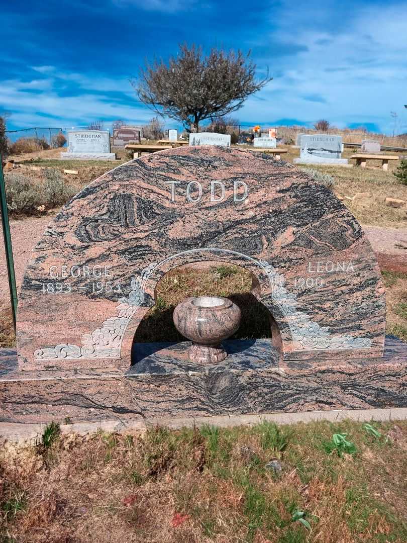 George Todd's grave. Photo 1