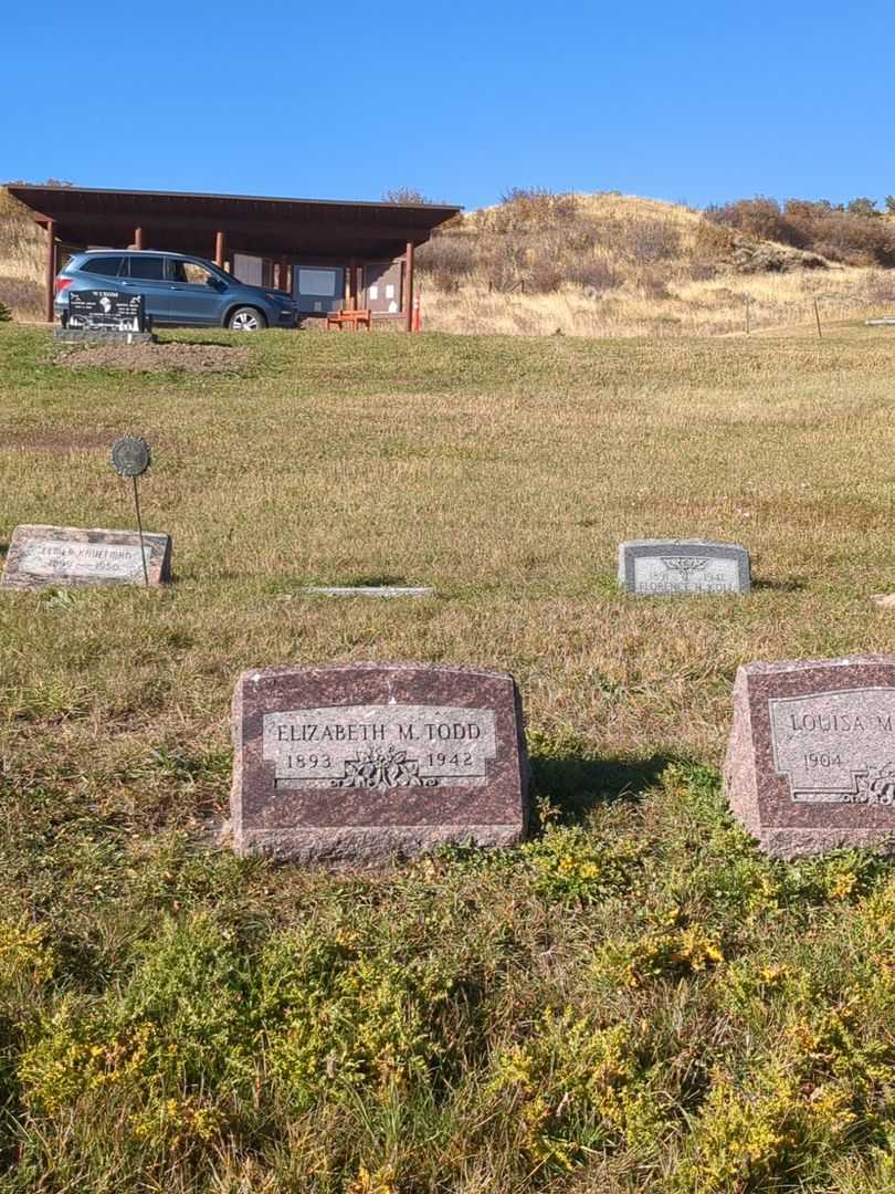 Elizabeth M. Todd's grave. Photo 2
