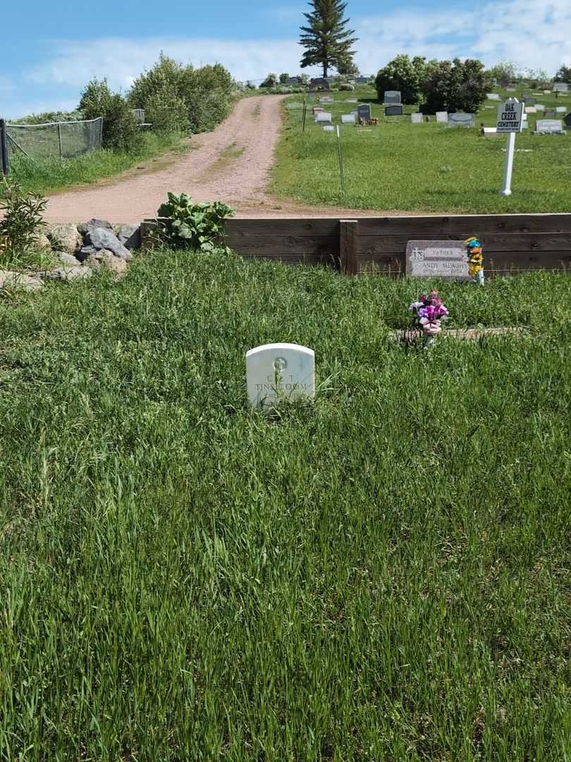 Tom Cal Tinsbloom's grave. Photo 2