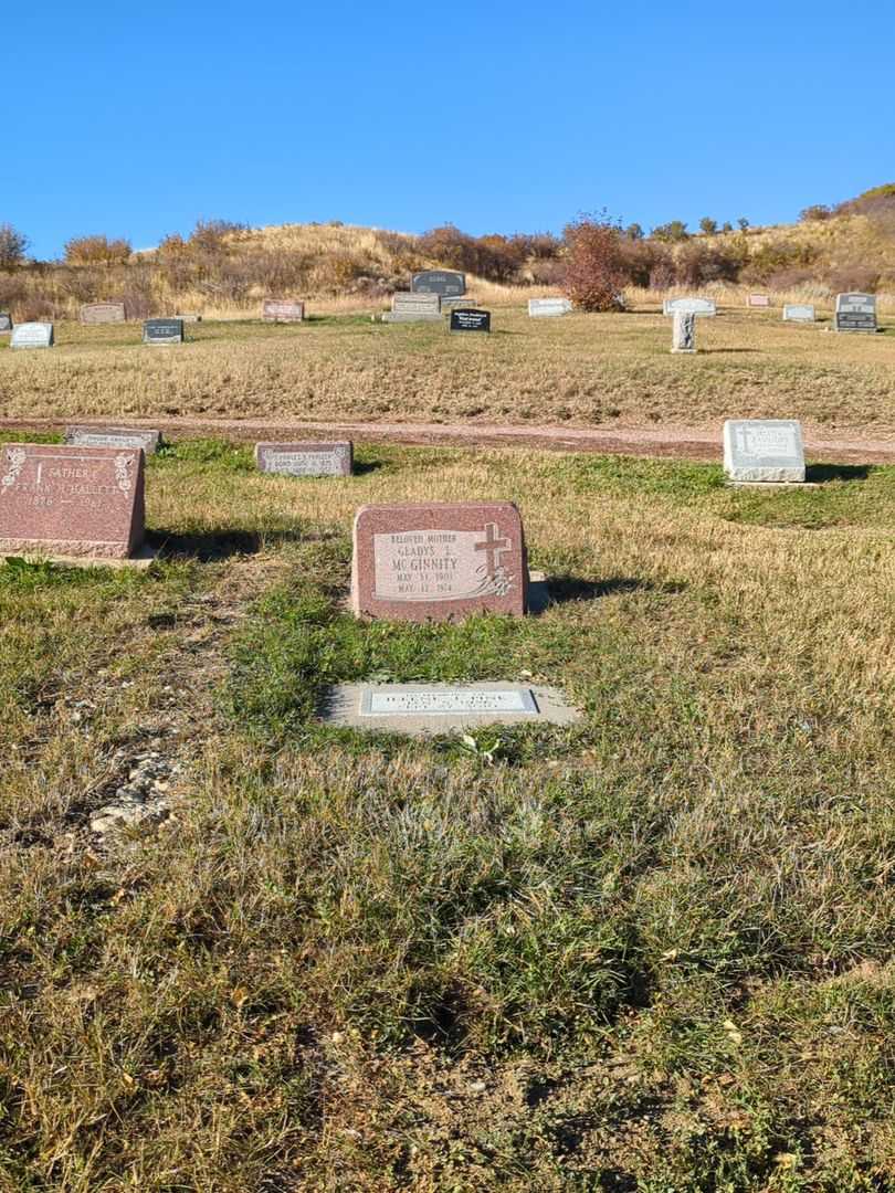 Ileene J. Pine's grave. Photo 2