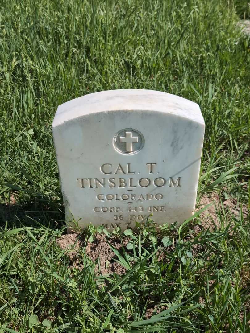 Tom Cal Tinsbloom's grave. Photo 1