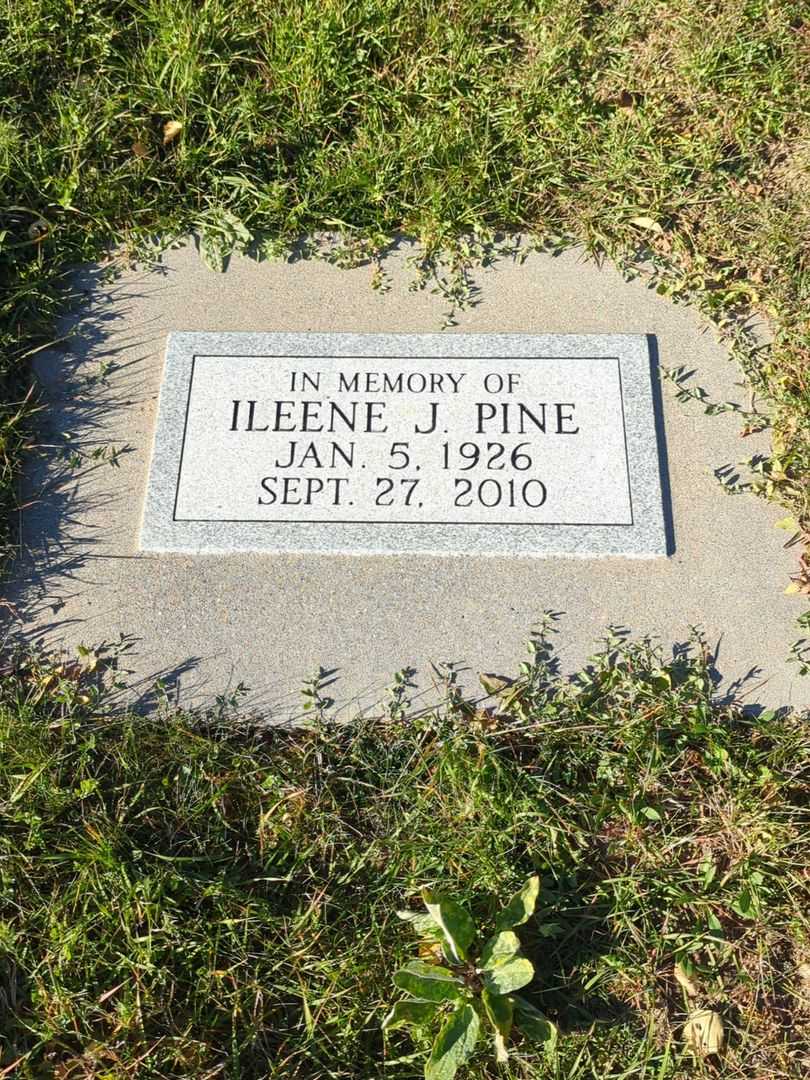 Ileene J. Pine's grave. Photo 3