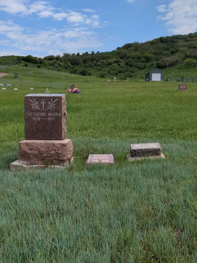 William Joseph Mudra's grave. Photo 2