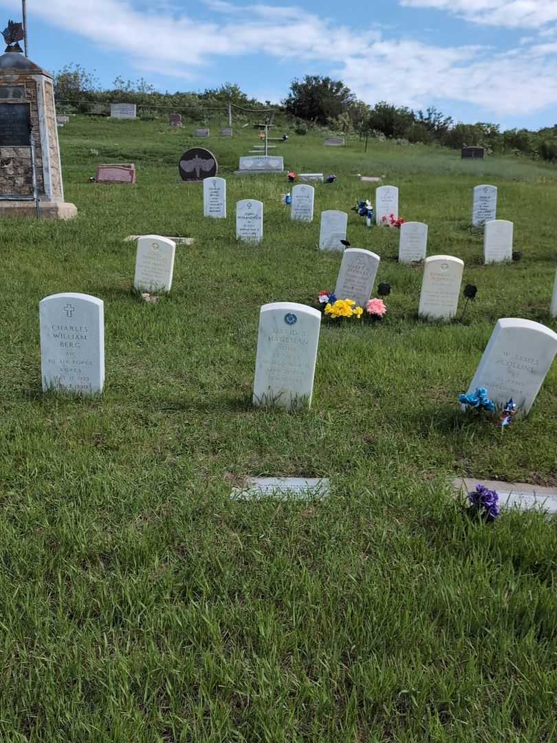 David B. Hageman's grave. Photo 2
