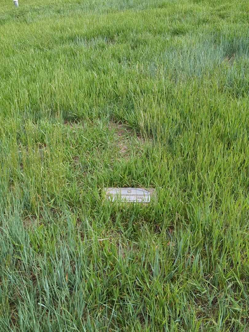 Spas Demetroff's grave. Photo 2