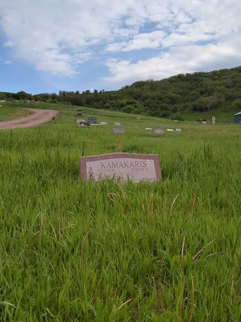 Theodore L. Kamakaris's grave. Photo 2