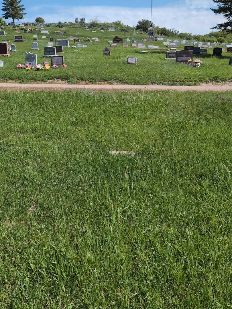 Howard L. Hall's grave. Photo 2