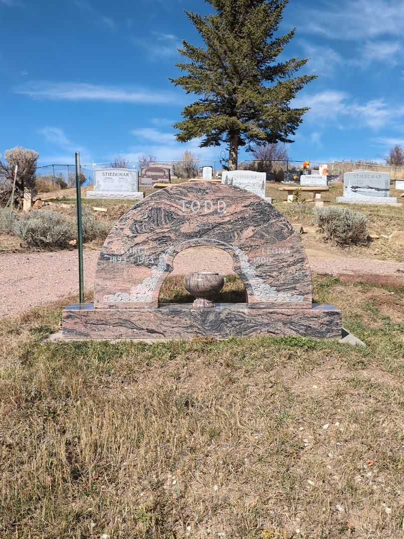 George Todd's grave. Photo 2
