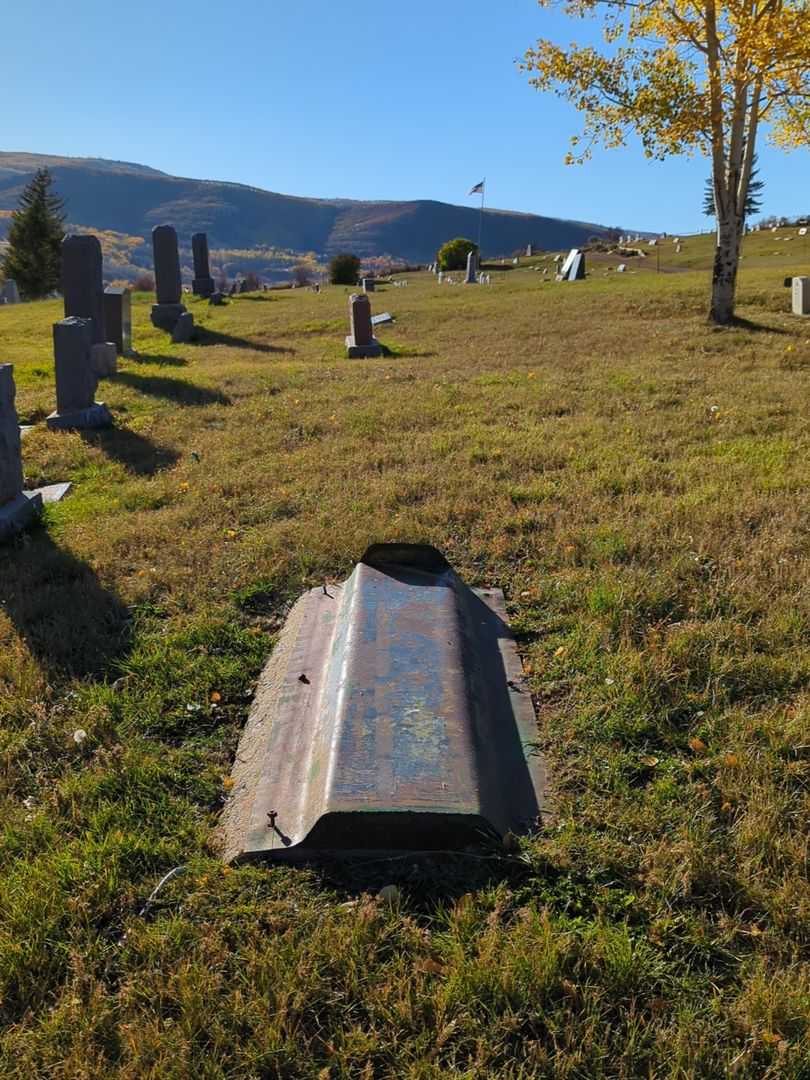 Evelyn S. Tinsley's grave. Photo 2