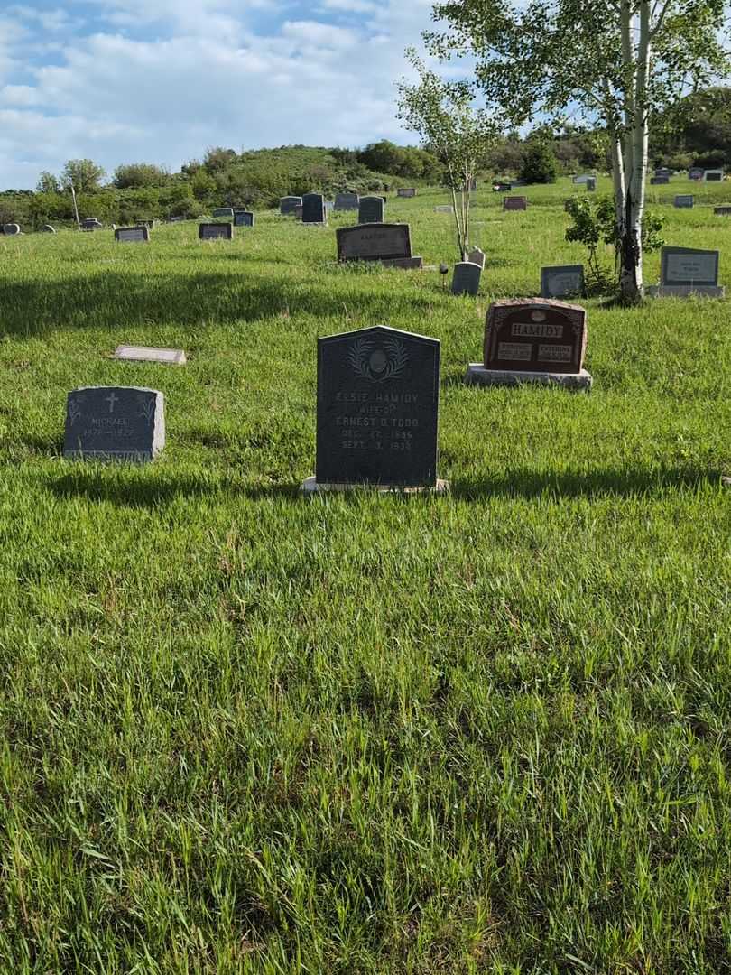 Elsie Hamidy Todd's grave. Photo 2