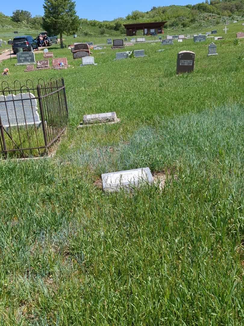Alice A. Taylor's grave. Photo 2