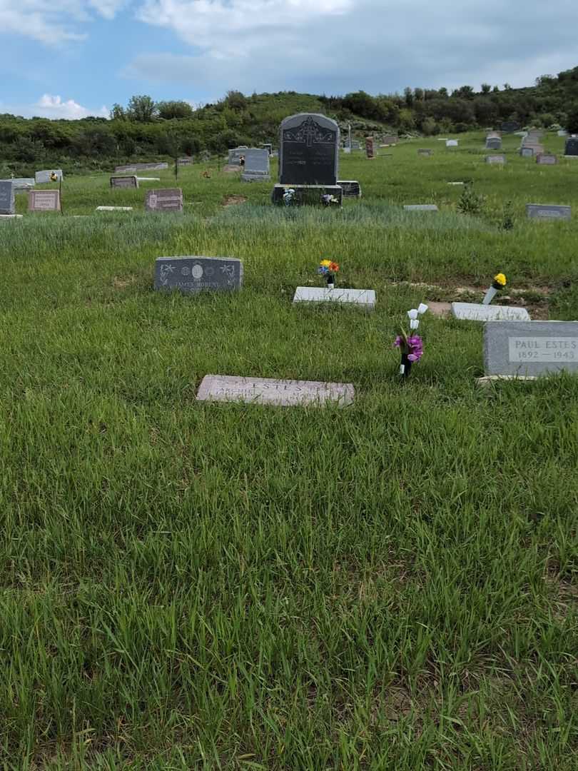 Archie J. Estes's grave. Photo 2